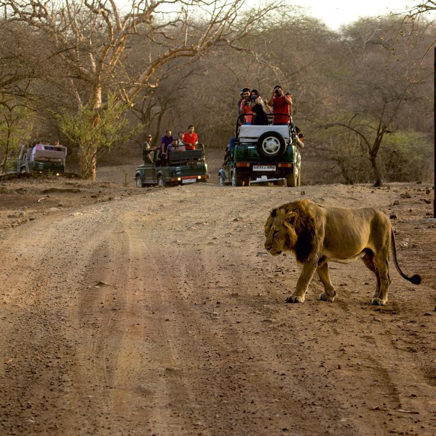 Asiatic Lion Lodge Sasan Gir Exterior photo